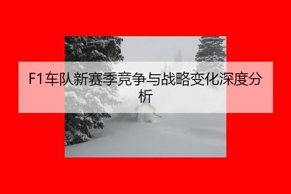 che-dui-xin-sai-ji-jing-zheng-yu-zhan-lve-bian-hua-shen-du-fen-xi-2-413.jpg