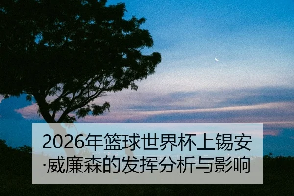 nian-lan-qiu-shi-jie-bei-shang-xi-an-wei-lian-sen-de-fa-hui-fen-xi-yu-ying-xiang-2-146.jpg