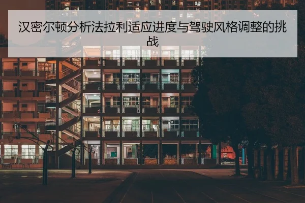 han-mi-er-dun-fen-xi-fa-la-li-shi-ying-jin-du-yu-jia-shi-feng-ge-tiao-zheng-de-tiao-zhan-2-162.jpg