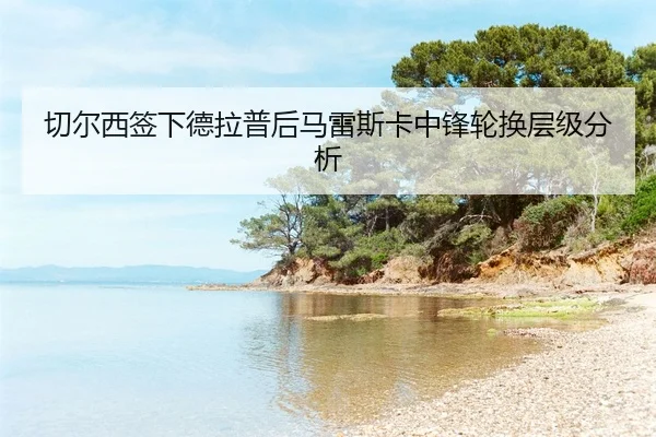 qie-er-xi-qian-xia-de-la-pu-hou-ma-lei-si-ka-zhong-feng-lun-huan-ceng-ji-fen-xi-2-102.jpg