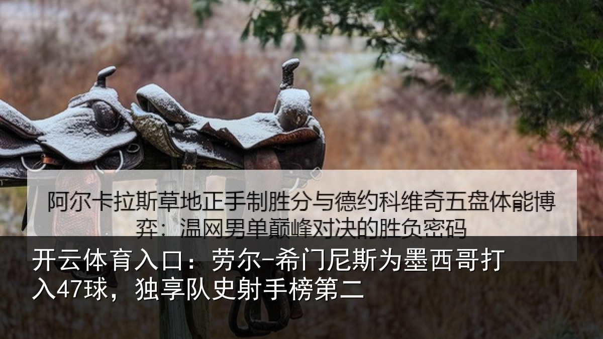 开云体育入口：劳尔-希门相关情况47球独相关情况