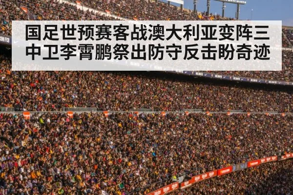 football stadium crowd
